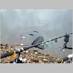 Purkarec  27.10.2008  7-39-41.JPG